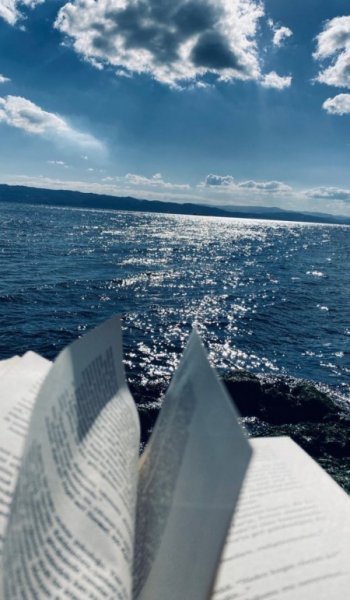  عکس دم وال برای بک گراند