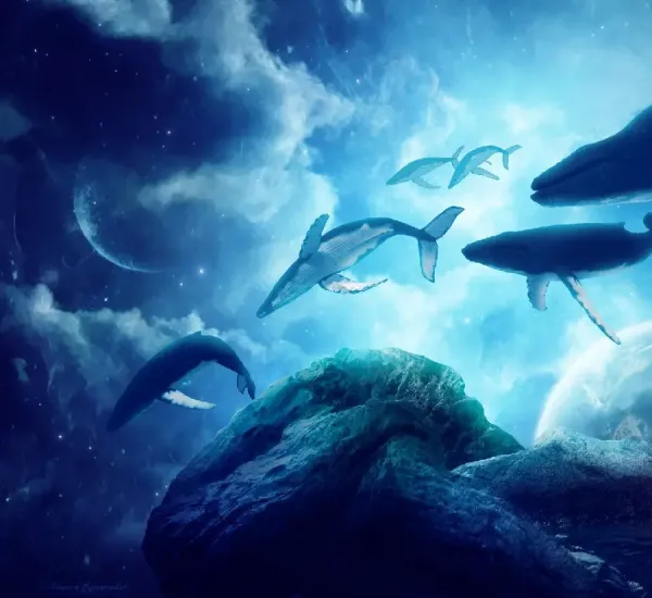  عکس وال سیاه