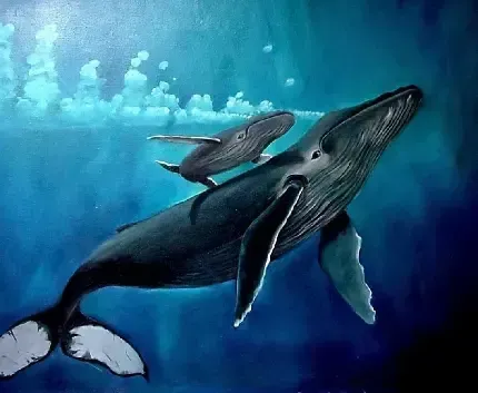  عکس نهنگ زیبا روی آب