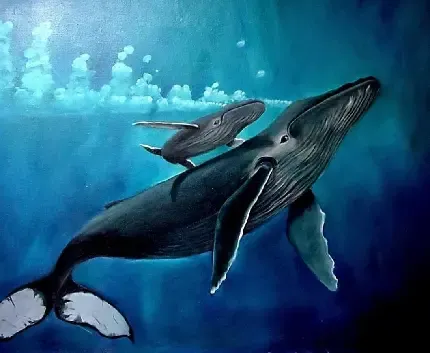  عکس نهنگ های غول پیکر و بزرگ