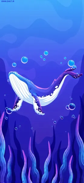  عکس نهنگ برای بک گراند گوشی