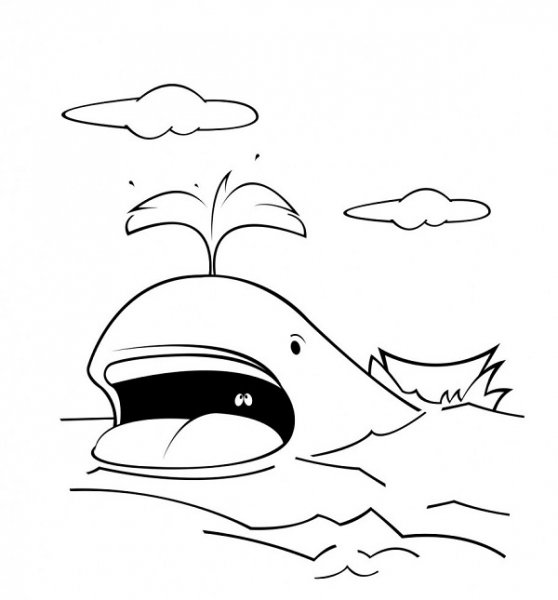  عکس نهنگ فانتزی