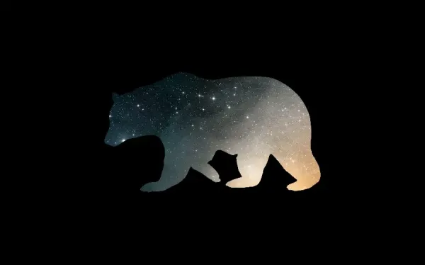  دانلود عکس خرس واقعی