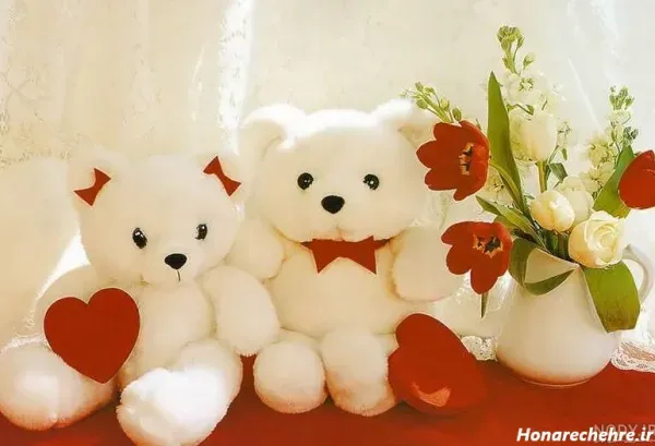  عکس خرس عروسکی برای پروفایل