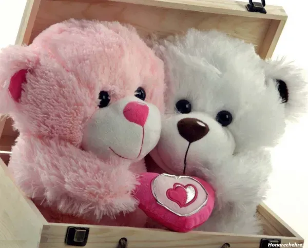  عکس خرس عروسکی برای پروفایل