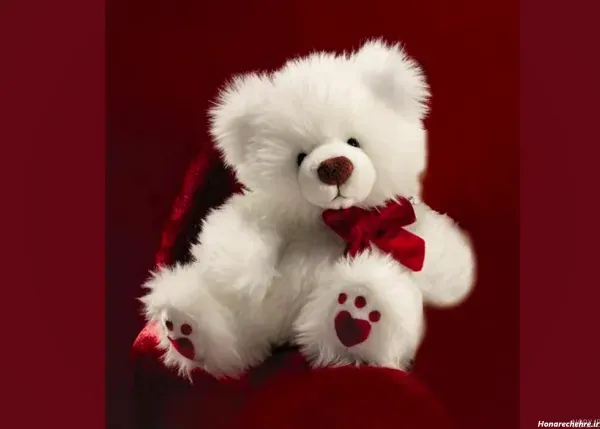  عکس خرس عروسکی برای پروفایل