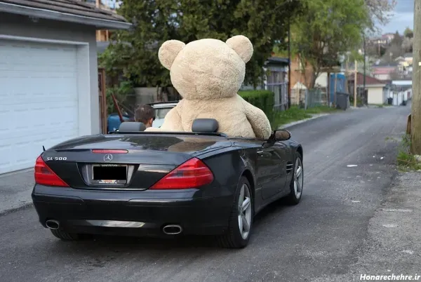  عکس خرس عروسکی برای پروفایل