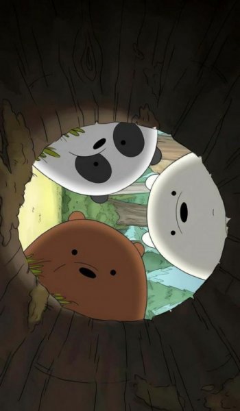  عکس پروفایل خرس های کله فندقی