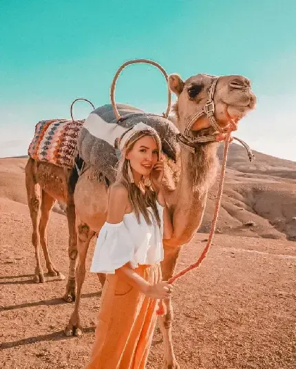  عکس شتر واقعی