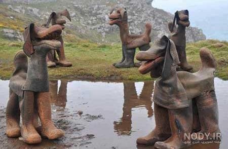  عکس شتر خنده دار