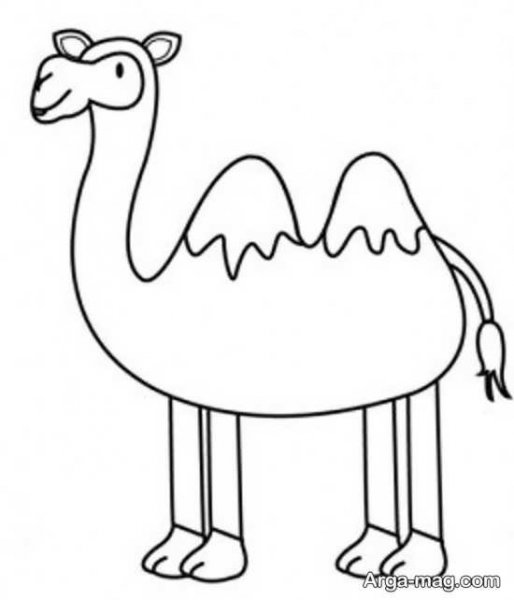  عکس شتر نقاشی