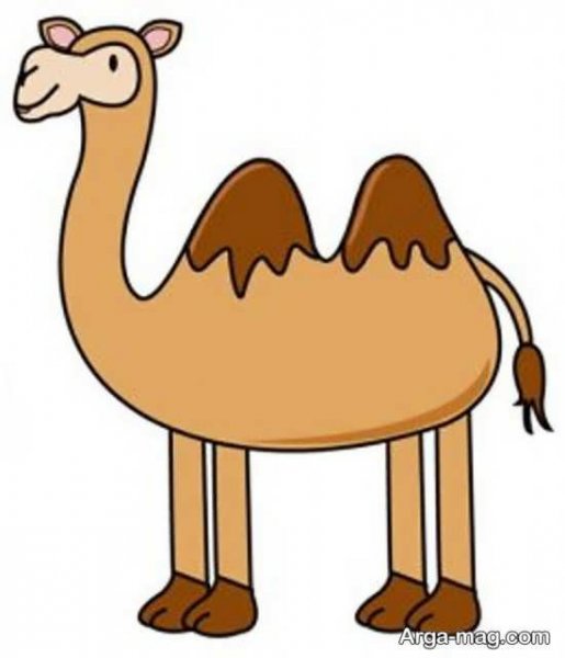  عکس شتر نقاشی