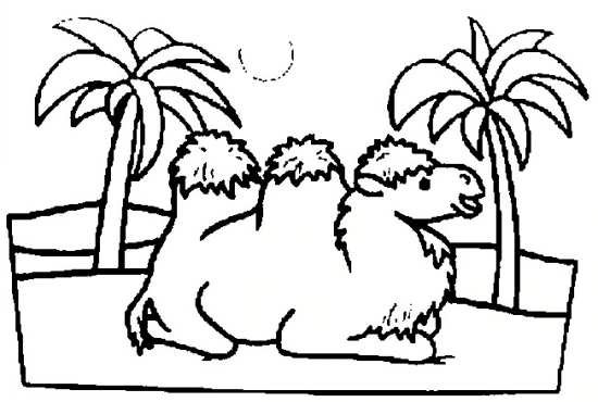  عکس شتر نقاشی