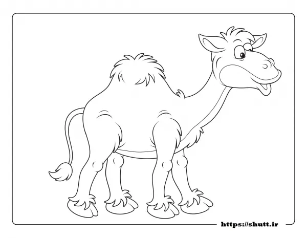  عکس شتر کارتونی