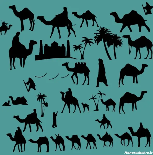  عکس شتر کارتونی