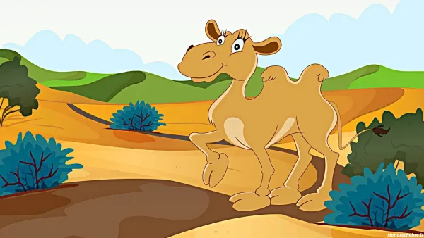  عکس شتر کارتونی