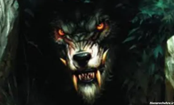  عکس گرگینه واقعی