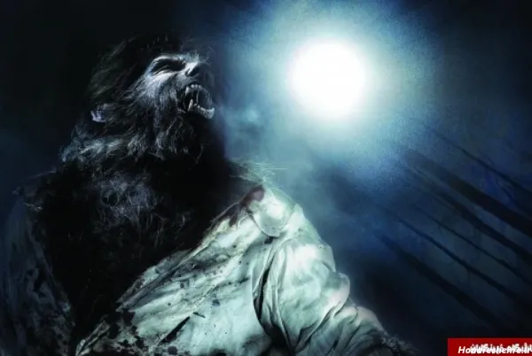  عکس گرگینه واقعی