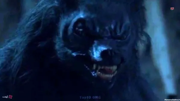  عکس گرگینه واقعی