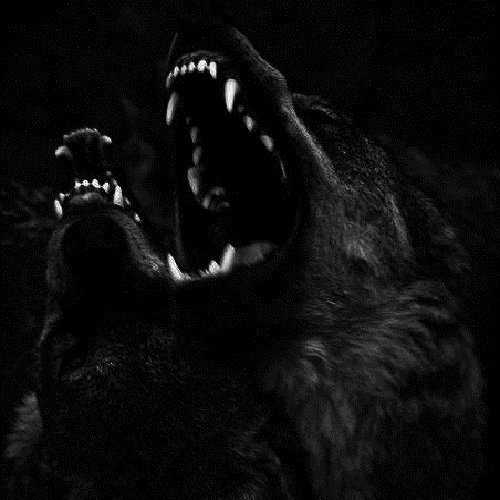  عکس گرگ سیاه ترسناک با چشم قرمز