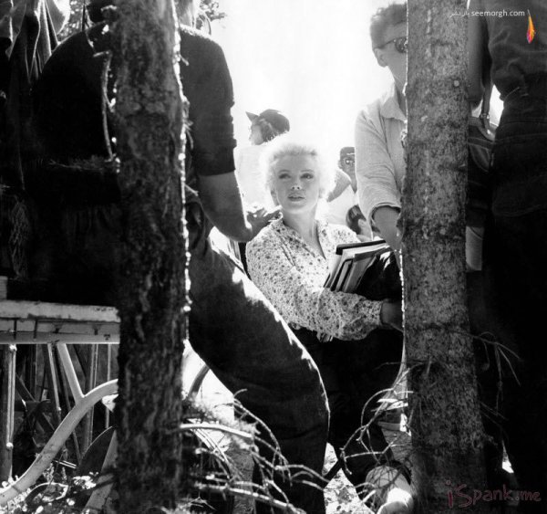  عکس های مرلین مونرو