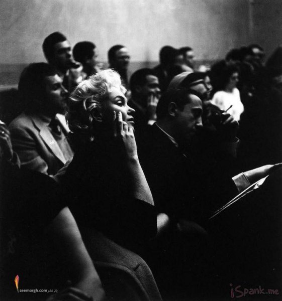  عکس های مرلین مونرو