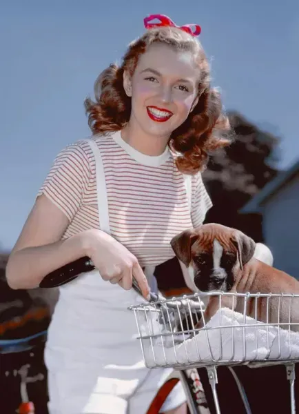  عکس معروف مرلین مونرو