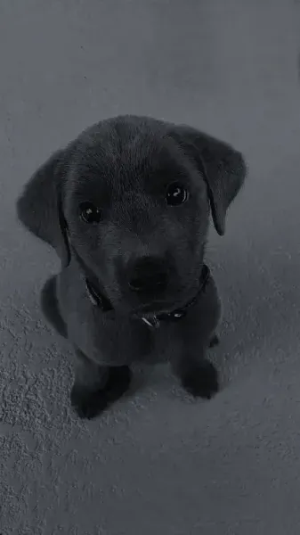  بک گراند مینیمال مشکی