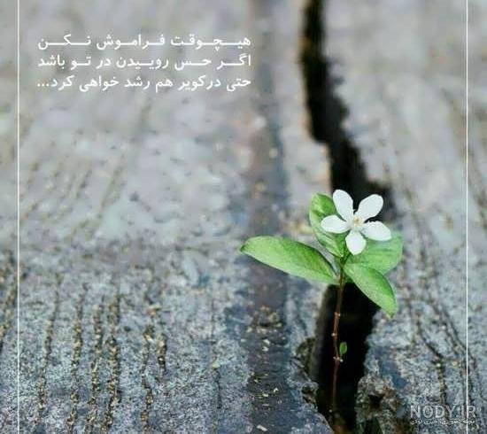  عکس پروفایل جمله انگیزشی