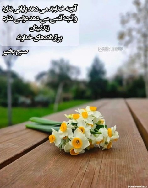 عکس سلام صبح بخیر جدید