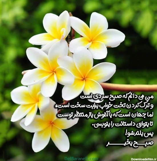  تصویر انگیزشی صبح