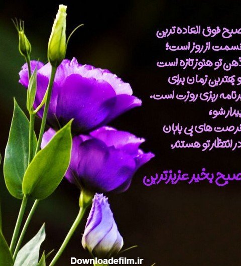  تصویر انگیزشی صبح