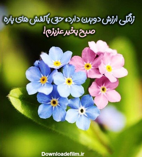  تصویر انگیزشی صبح