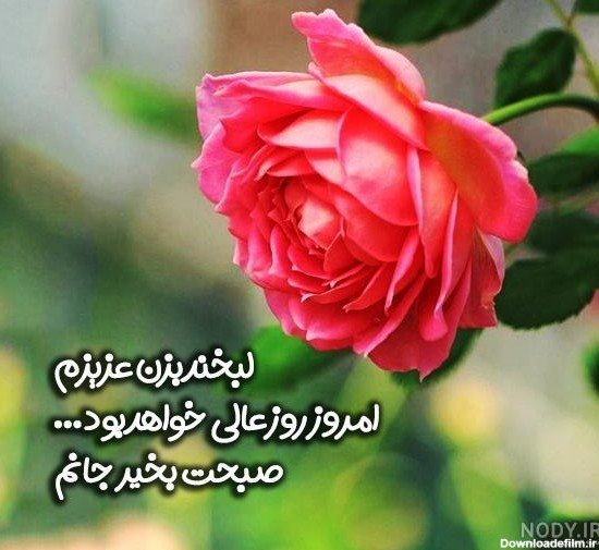  تصویر انگیزشی صبح