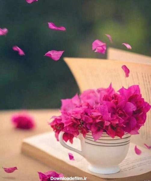 عکس سلام صبح بخیر جدید