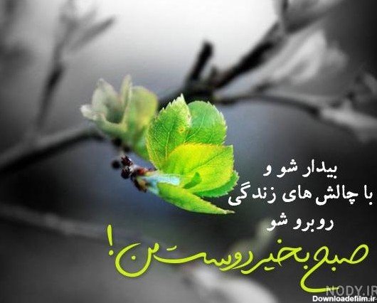 عکس سلام صبح بخیر جدید