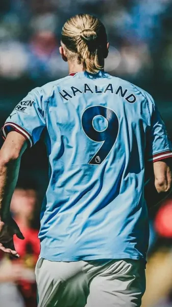  عکس هالند برای پروفایل