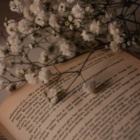  پروفایل هدفون و کتاب