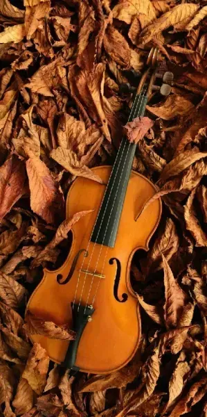 عکس پروفایل موزیک جدید