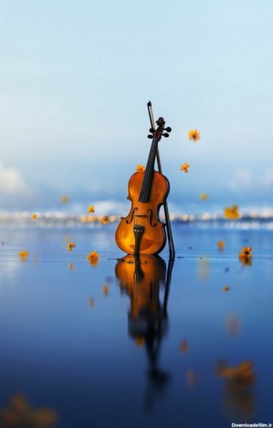 عکس ویولن برای تصویر زمینه