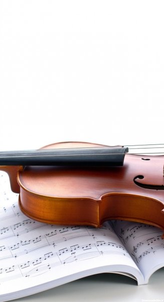 عکس ویولن برای تصویر زمینه