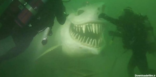  عکس کوسه وحشتناک ترسناک