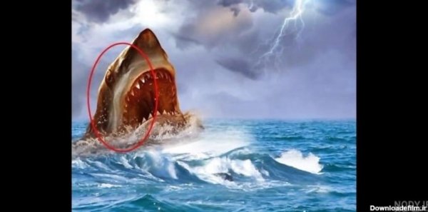  عکس کوسه وحشتناک ترسناک