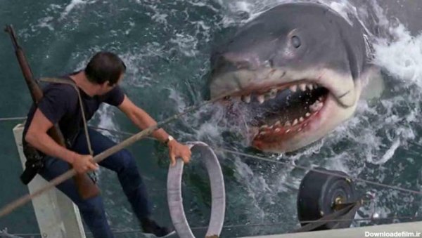  عکس کوسه وحشتناک ترسناک