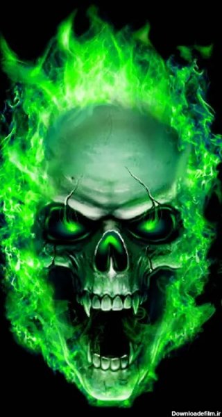  عکس جمجمه انسان ترسناک