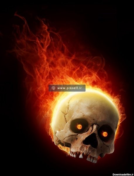  عکس جمجمه انسان ترسناک