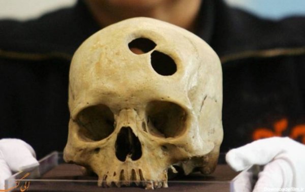 عکس اسکلت وحشی