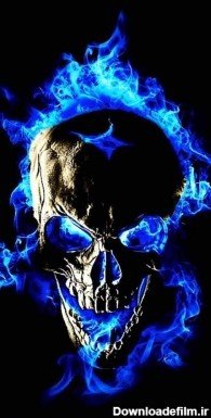 عکس اسکلت وحشی