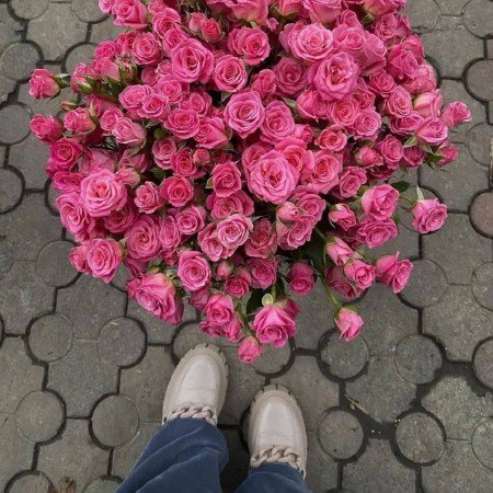  عکس پروف دخترونه گربه