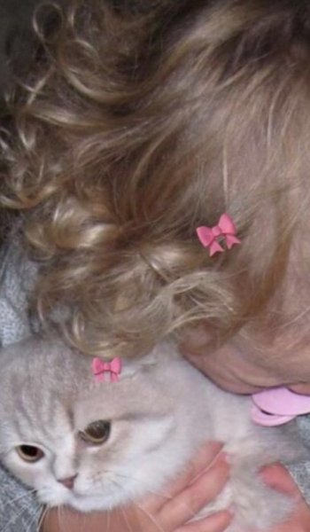 عکس گربه کوچولو بامزه